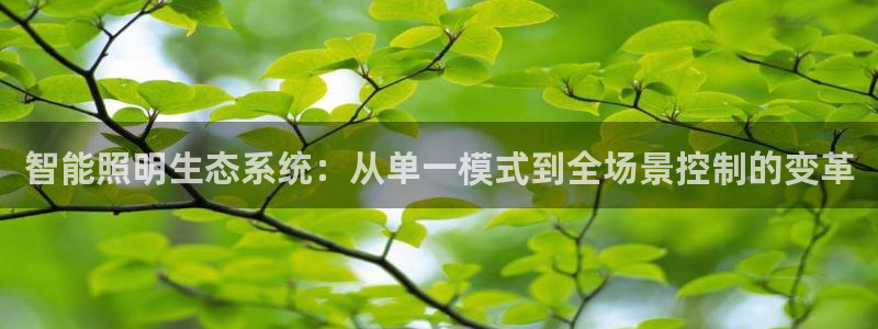 智能照明生态系统:从单一模式到全场景控制