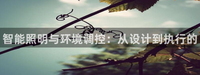 智能照明与环境调控:从设计到执行的