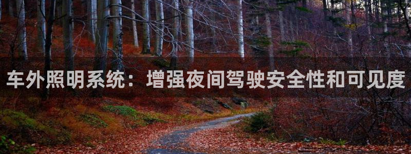 车外照明系统:增强夜间驾驶安全性和可见度